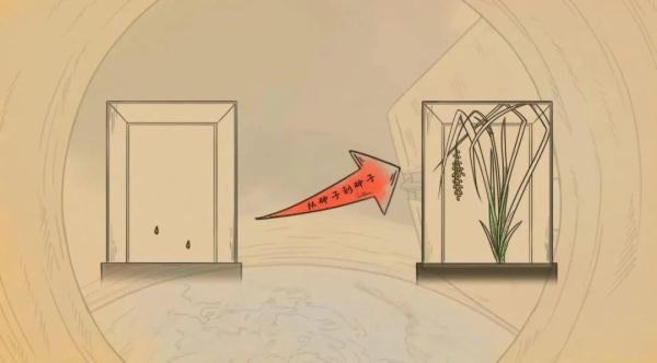 “稻”说古今,揭秘饭碗里这粒米的“前世今生” “稻”说古今,揭秘饭碗里这粒米的“前世今生”