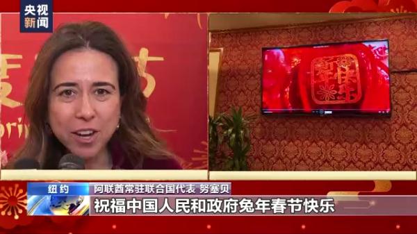 中国常驻联合国代表团等举行新春招待会 中国常驻联合国代表团等举行新春招待会