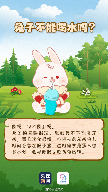 兔子的最爱不是胡萝卜