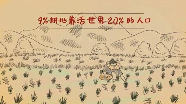 “稻”说古今,揭秘饭碗里这粒米的“前世今生” “稻”说古今,揭秘饭碗里这粒米的“前世今生”