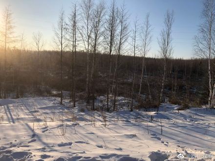 漠河的冷有多夸张？戳图感受！