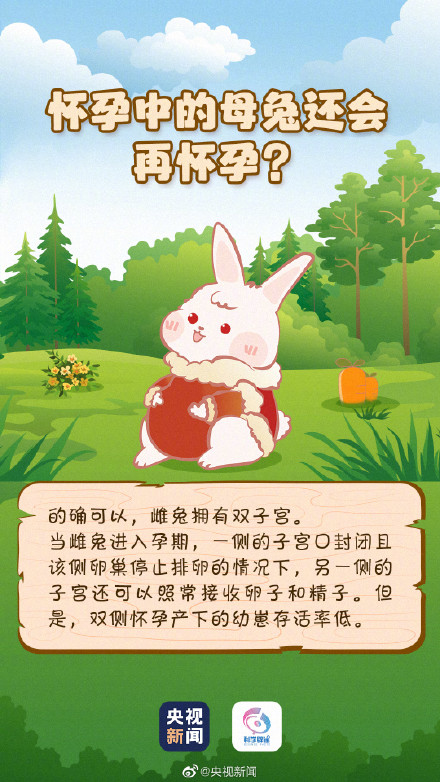 兔子的最爱不是胡萝卜