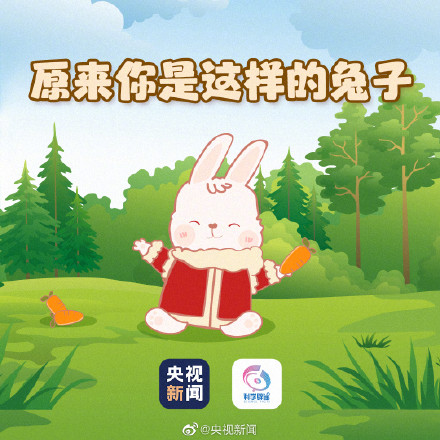 兔子的最爱不是胡萝卜