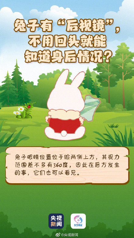 兔子的最爱不是胡萝卜