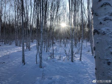 漠河的冷有多夸张？戳图感受！