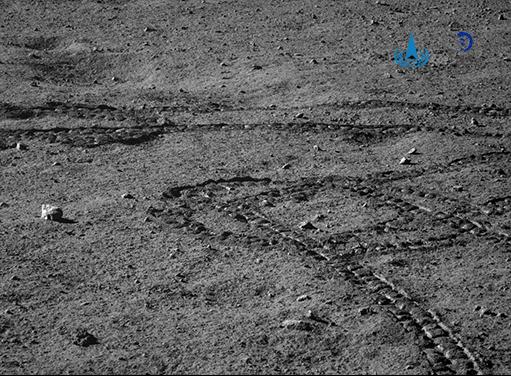 “月宫”寻宝 “玉兔”送福! “月宫”寻宝 “玉兔”送福!