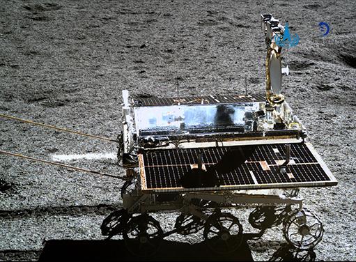 “月宫”寻宝 “玉兔”送福! “月宫”寻宝 “玉兔”送福!