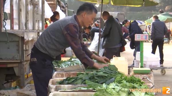 3年没回老家过年！他忙碌一年到头，只为守住万千市民的“菜篮子”