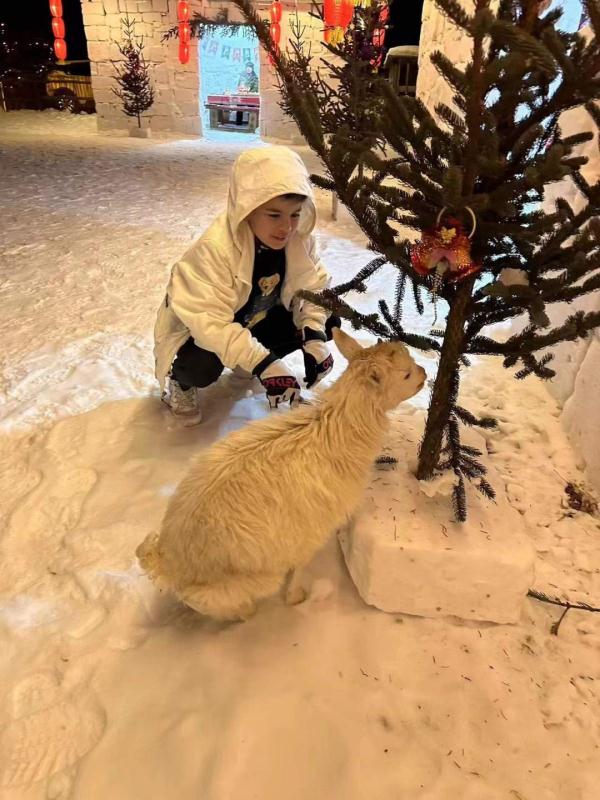 观长白丨长白山里过大年 观长白丨长白山里过大年