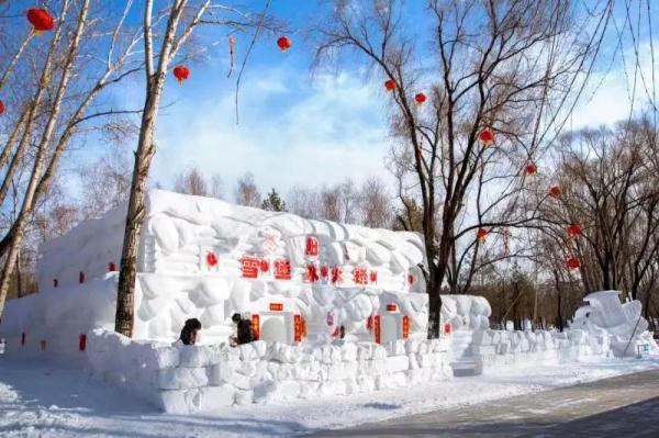 赏雪雕、看萌宠、吃冰火锅！在冰城体验雪博会最美打开方式