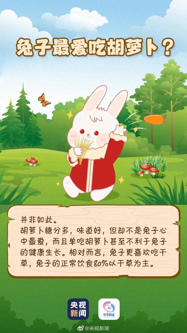 原来你是这样的兔子 原来你是这样的兔子