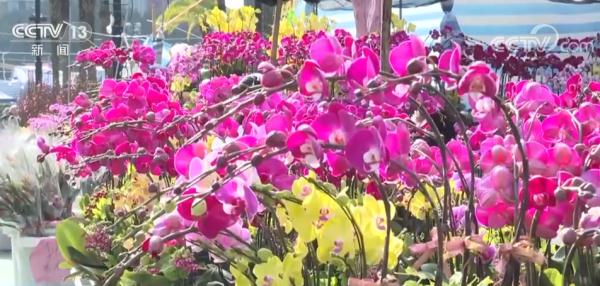 张灯结彩庆新春 喜庆祥和中国年