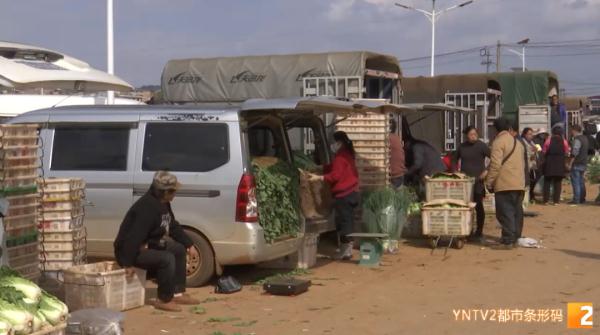 3年没回老家过年！他忙碌一年到头，只为守住万千市民的“菜篮子”