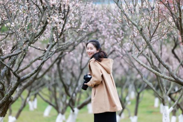 太美了！深圳梅园花开似海，最佳观赏时间就现在