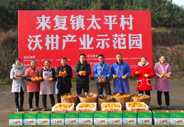 四川高县：通高速建高铁 &nbsp;铺就高质量发展新路