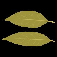 春节祭祖需谨慎 人走火灭记心头 春节祭祖需谨慎 人走火灭记心头