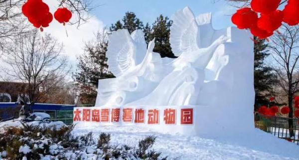赏雪雕、看萌宠、吃冰火锅！在冰城体验雪博会最美打开方式