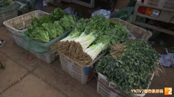 3年没回老家过年！他忙碌一年到头，只为守住万千市民的“菜篮子”