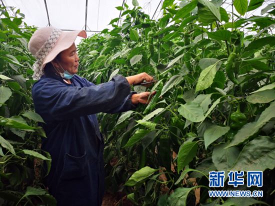 山西践行“两大任务”推动高质量发展 山西践行“两大任务”推动高质量发展