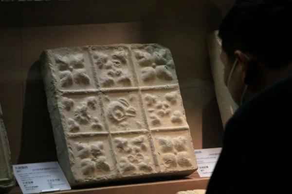 甘肃敦煌：兔年看“兔”