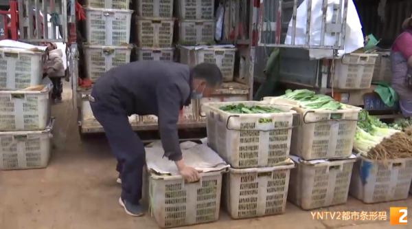 3年没回老家过年！他忙碌一年到头，只为守住万千市民的“菜篮子”