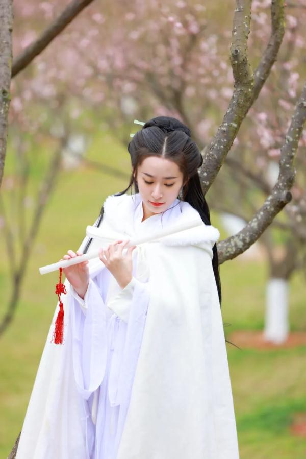 太美了！深圳梅园花开似海，最佳观赏时间就现在