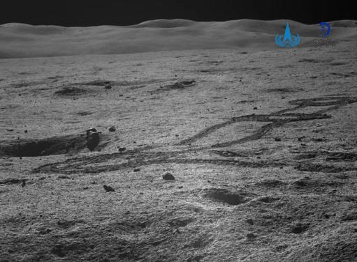 “月宫”寻宝 “玉兔”送福! “月宫”寻宝 “玉兔”送福!