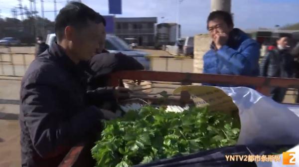 3年没回老家过年！他忙碌一年到头，只为守住万千市民的“菜篮子”
