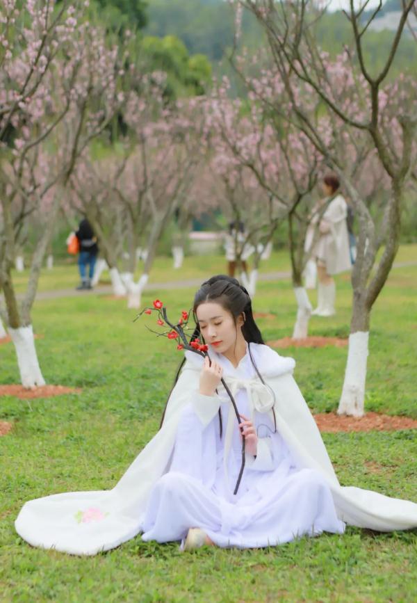 太美了！深圳梅园花开似海，最佳观赏时间就现在