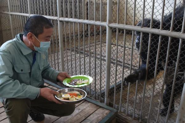 仪式感拉满!看动物们的“年夜饭”都吃啥? 仪式感拉满!看动物们的“年夜饭”都吃啥?
