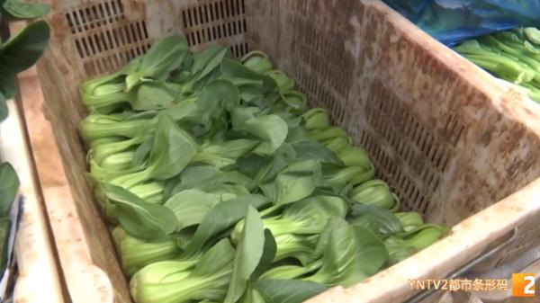 3年没回老家过年！他忙碌一年到头，只为守住万千市民的“菜篮子”