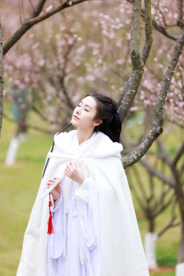 太美了！深圳梅园花开似海，最佳观赏时间就现在