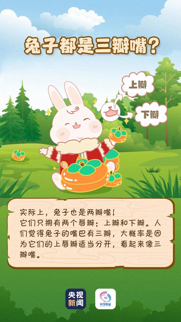 这个兔年“双春”有384天 还有更多你不知道的“小秘密” 这个兔年“双春”有384天 还有更多你不知道的“小秘密”