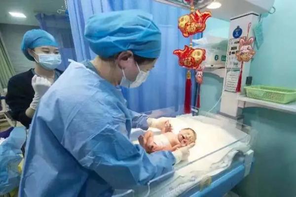 第一波“兔宝宝”喜气降生！有伢就叫“初一”