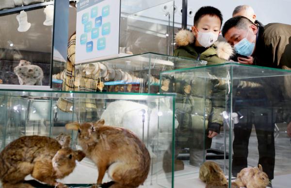 春节假期前两日迎客累计超300万人次  上海文旅市场迎来“开门红”