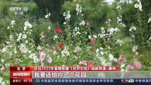 旋律里不为人知的感动 走进歌曲《花开忘忧》的幕后故事