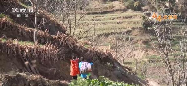 新春走基层 | 我为村民投递“幸福” 新春走基层 | 我为村民投递“幸福”