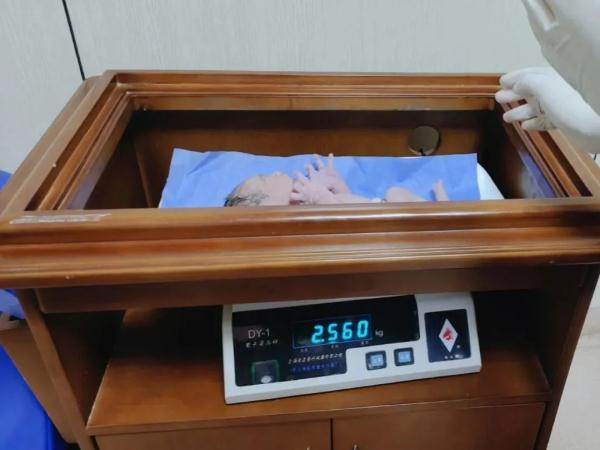 第一波“兔宝宝”喜气降生！有伢就叫“初一”