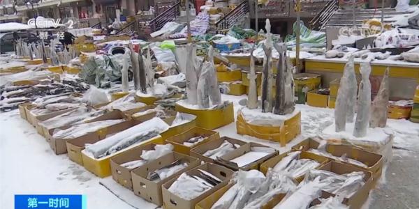 在这里,冻鱼倒插在雪里卖!游客:震撼! 在这里,冻鱼倒插在雪里卖!游客:震撼!