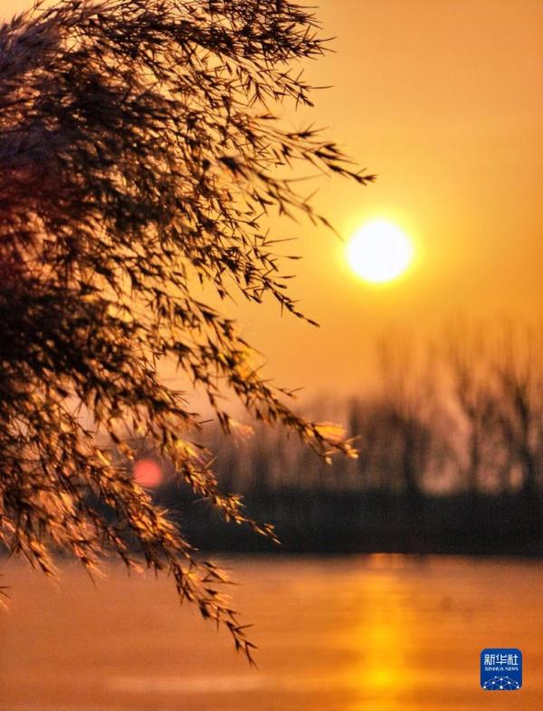 镜头里的中国年：兔年第一天的中国