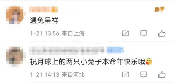 兔年到了，它却还在加班