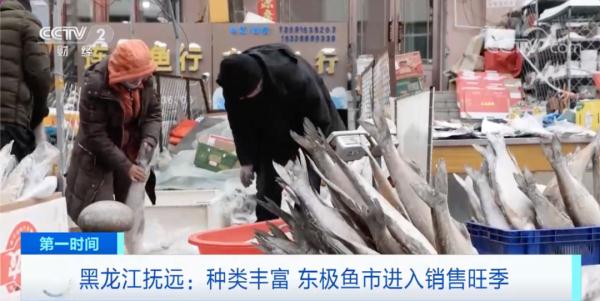 在这里,冻鱼倒插在雪里卖!游客:震撼! 在这里,冻鱼倒插在雪里卖!游客:震撼!