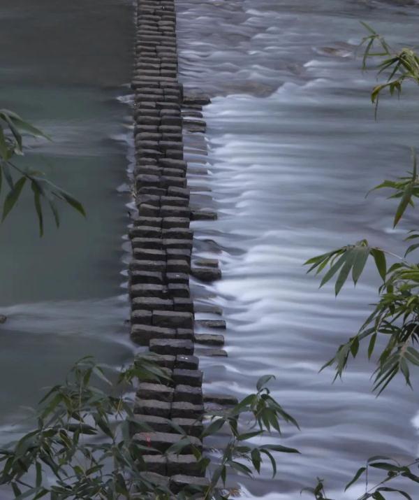 惊艳全网的《碇步桥》，背后的故事更美！