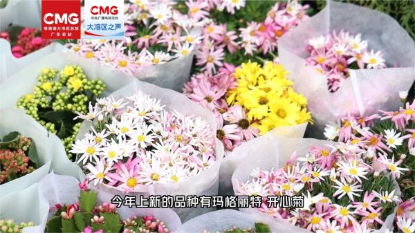 菊花入菜，是什么滋味？