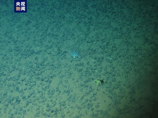 人类首次抵达!“奋斗者”号成功探底 人类首次抵达!“奋斗者”号成功探底