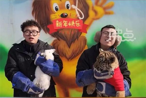 动物园“虎兔交接”上热搜，兔子瑟瑟发抖：险成年夜饭