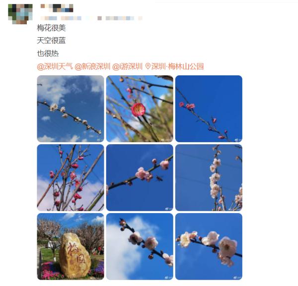 兔年第一股冷空气来“拜年”啦！