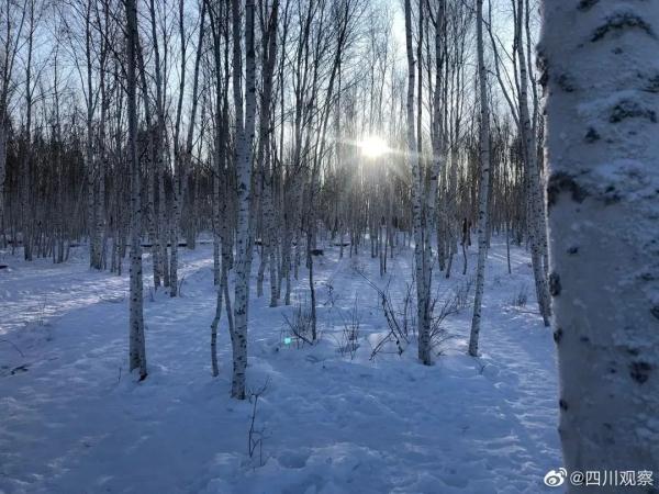上海寒潮蓝色预警拉响，全国最冷的地方睫毛都冻住了
