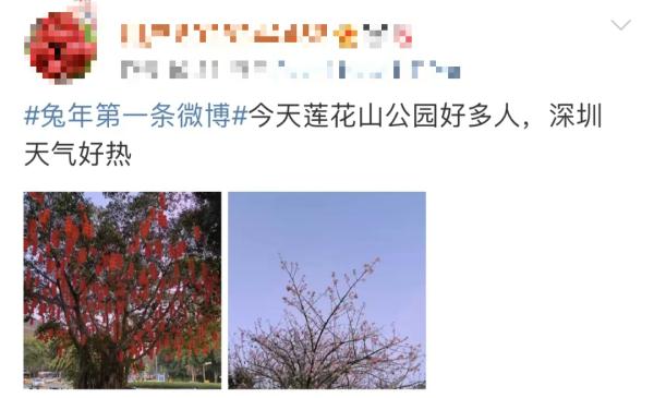 兔年第一股冷空气来“拜年”啦！