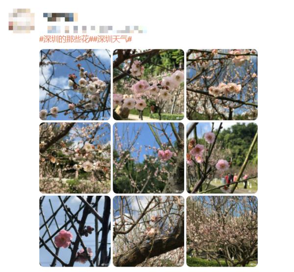 兔年第一股冷空气来“拜年”啦！